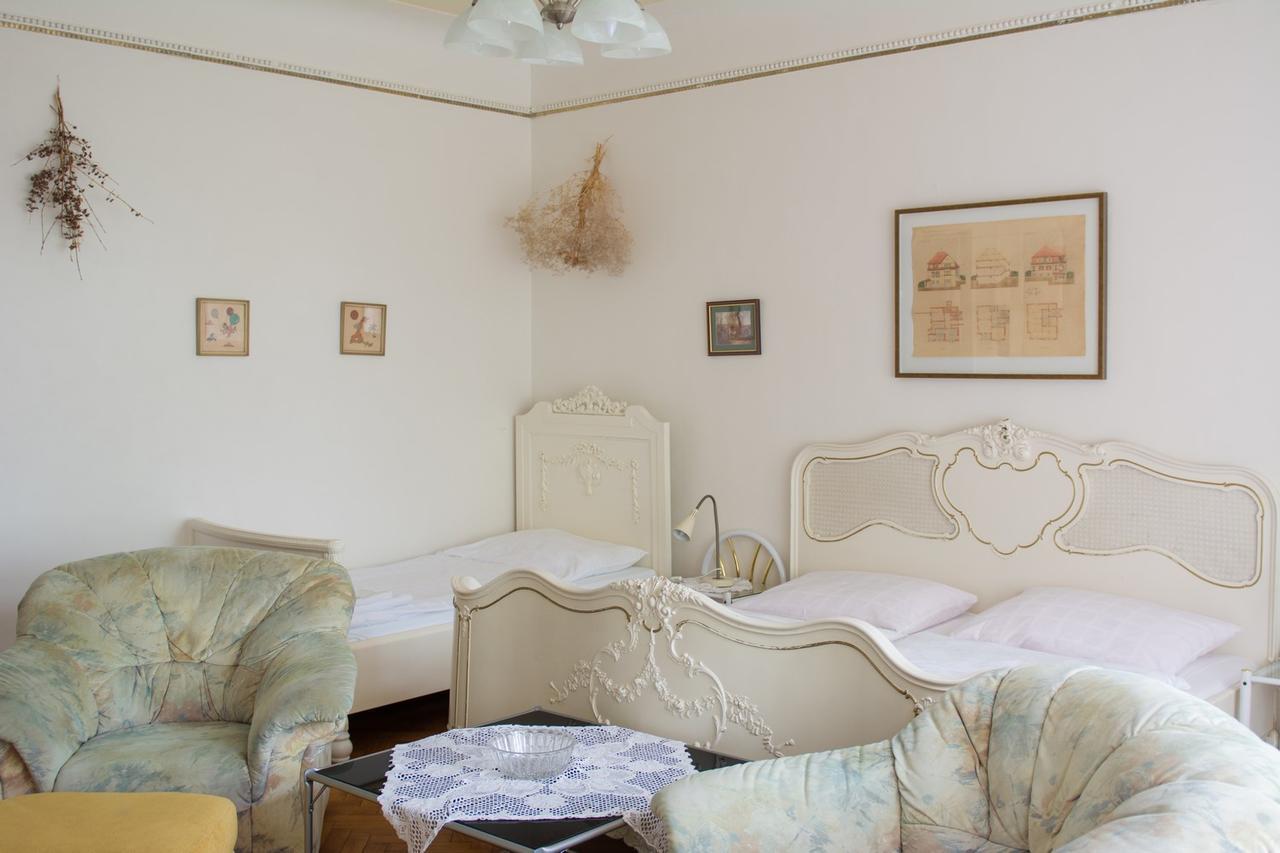 Hotel Penzion Signum Laudis à Velké Hamry Extérieur photo