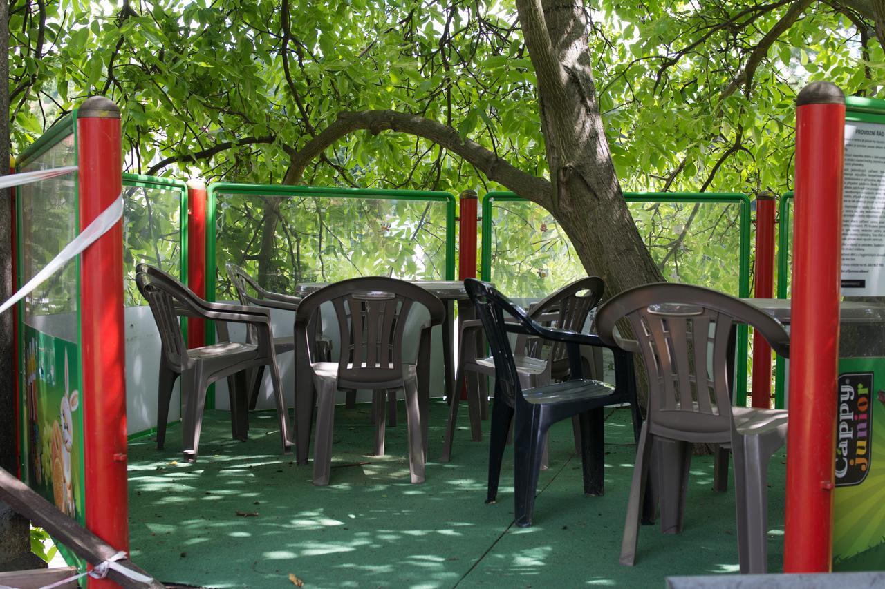 Hotel Penzion Signum Laudis à Velké Hamry Extérieur photo