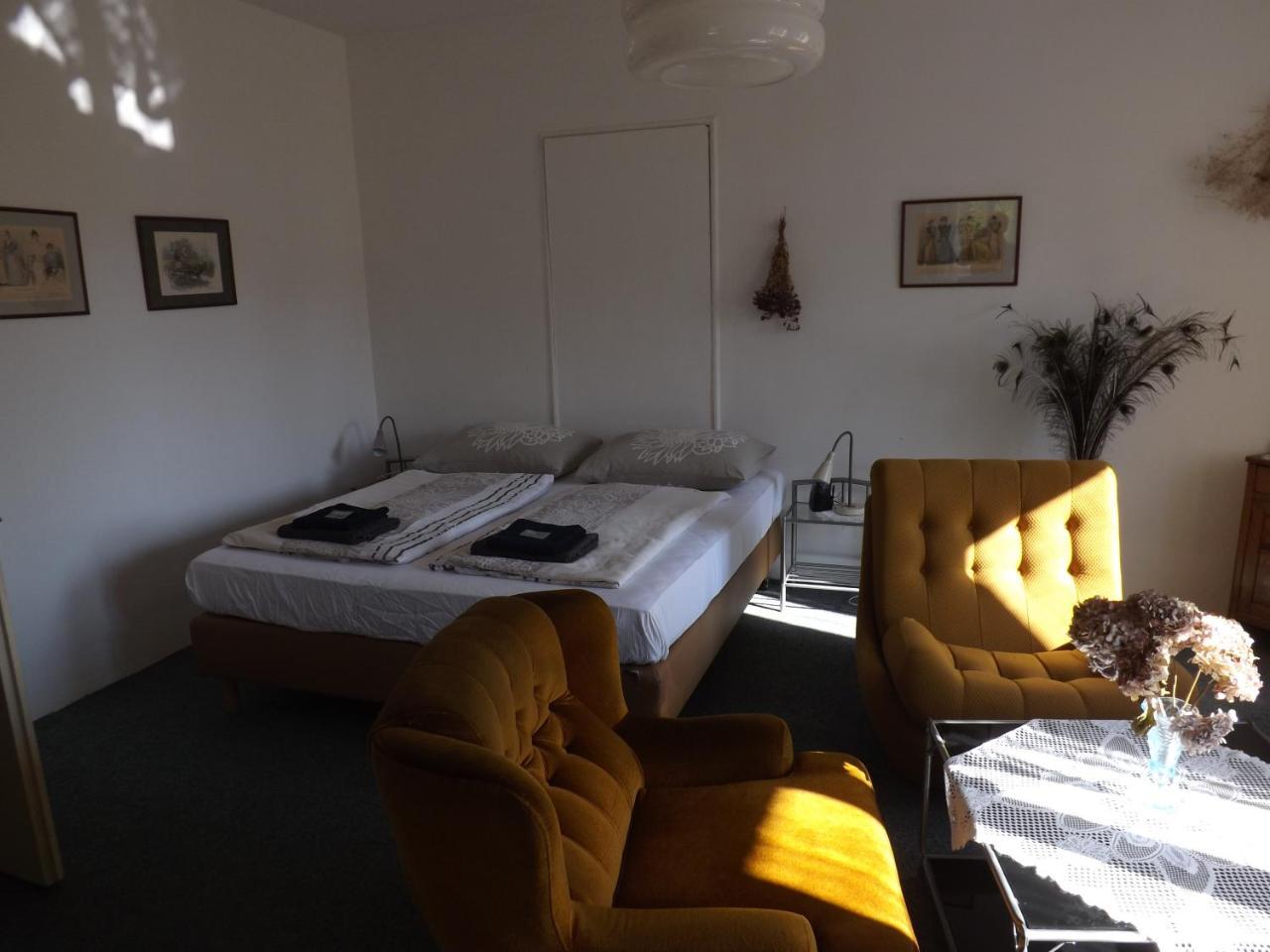 Hotel Penzion Signum Laudis à Velké Hamry Extérieur photo